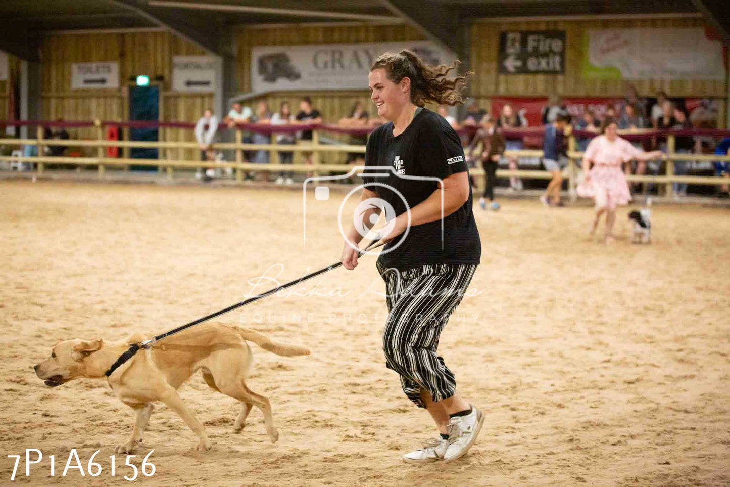 JHOYS 2023 - 11th September - Best Lorry Dog