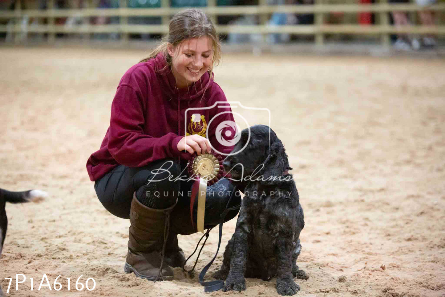 JHOYS 2023 - 11th September - Best Lorry Dog
