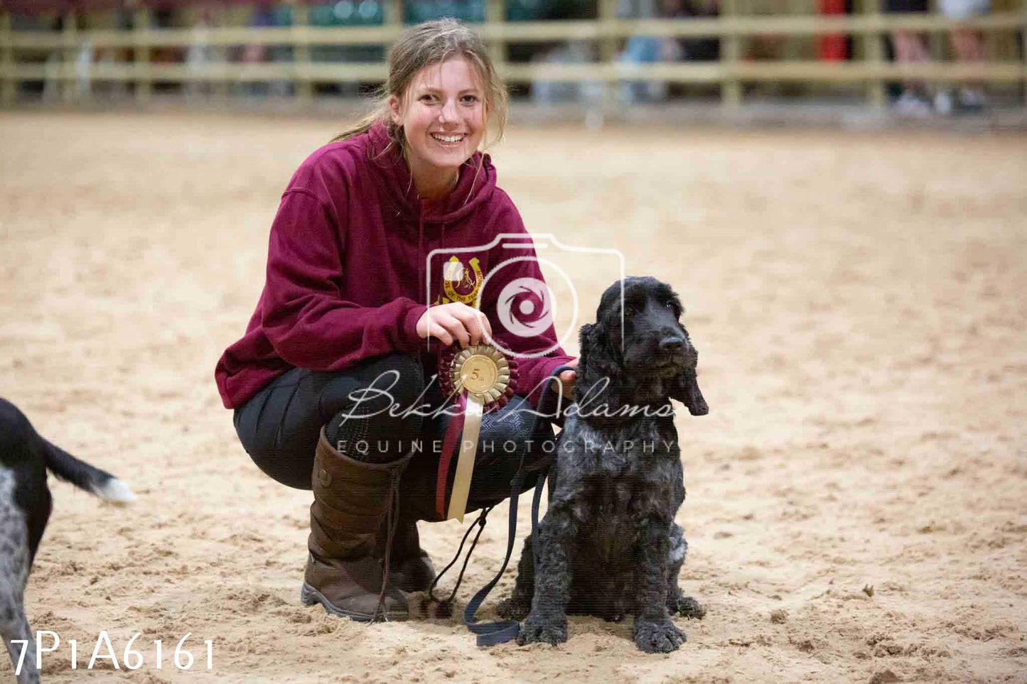 JHOYS 2023 - 11th September - Best Lorry Dog