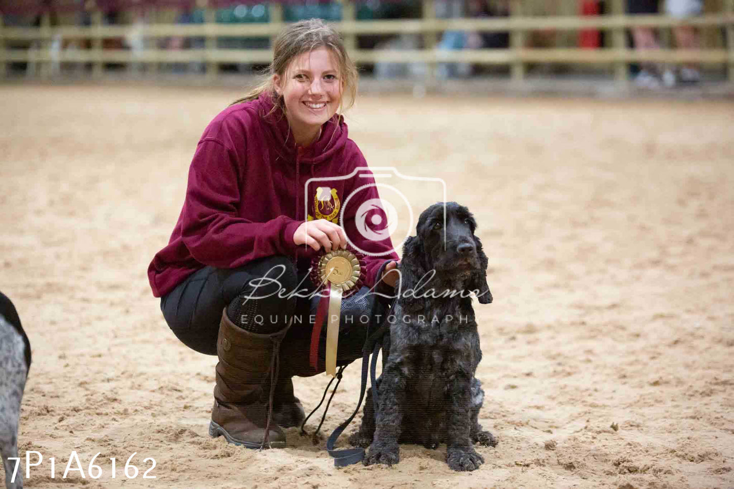 JHOYS 2023 - 11th September - Best Lorry Dog