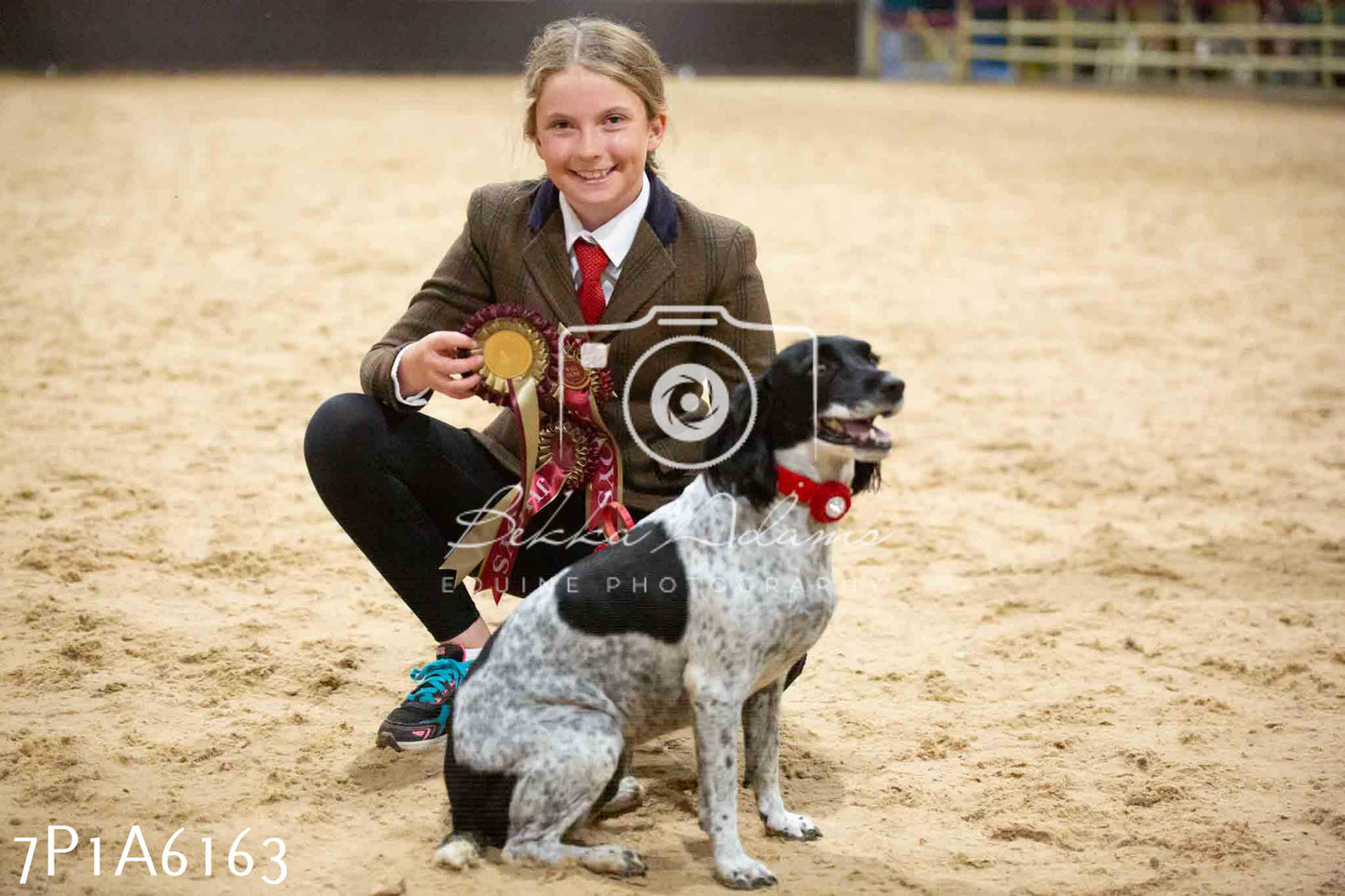 JHOYS 2023 - 11th September - Best Lorry Dog