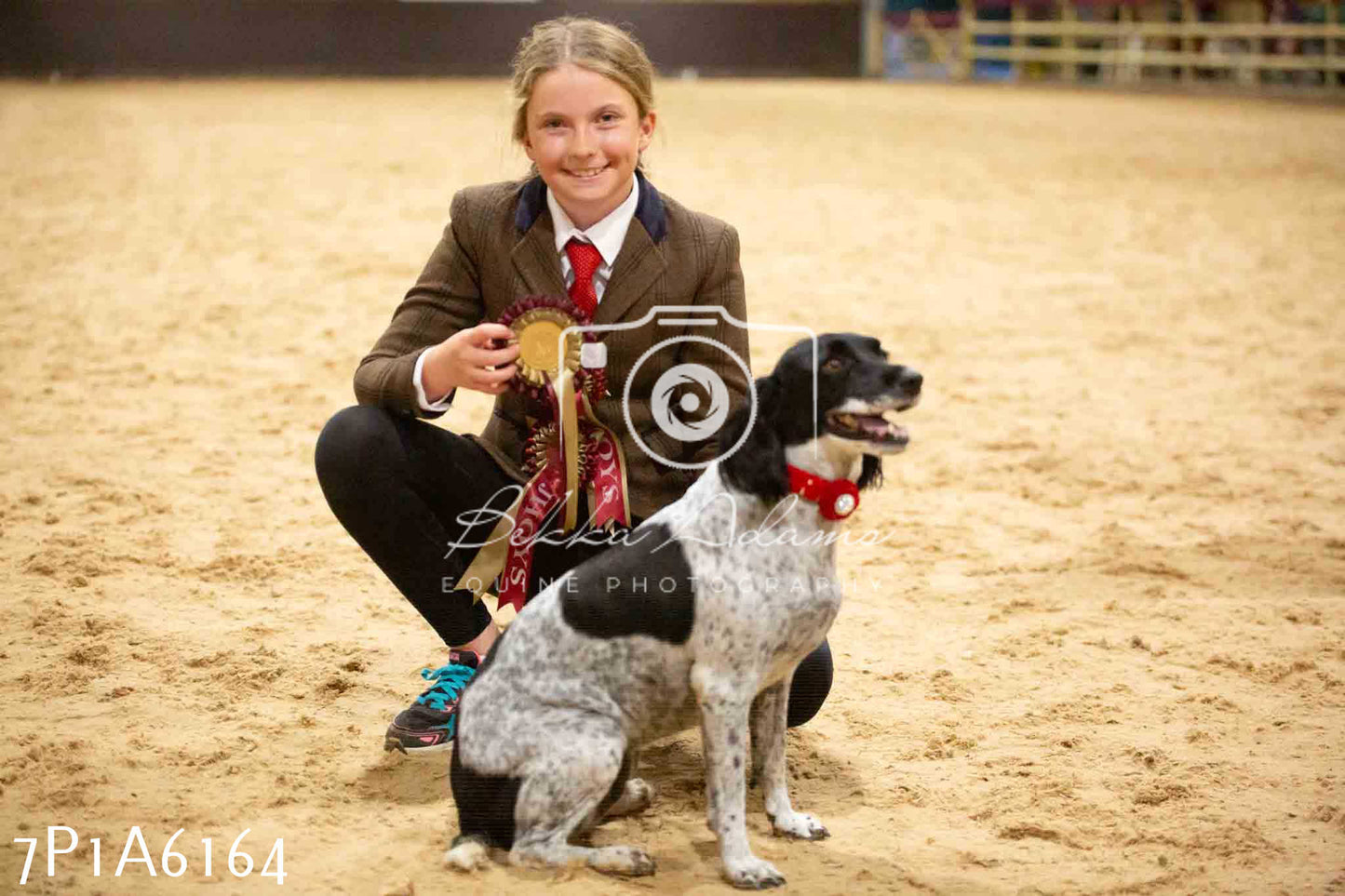 JHOYS 2023 - 11th September - Best Lorry Dog