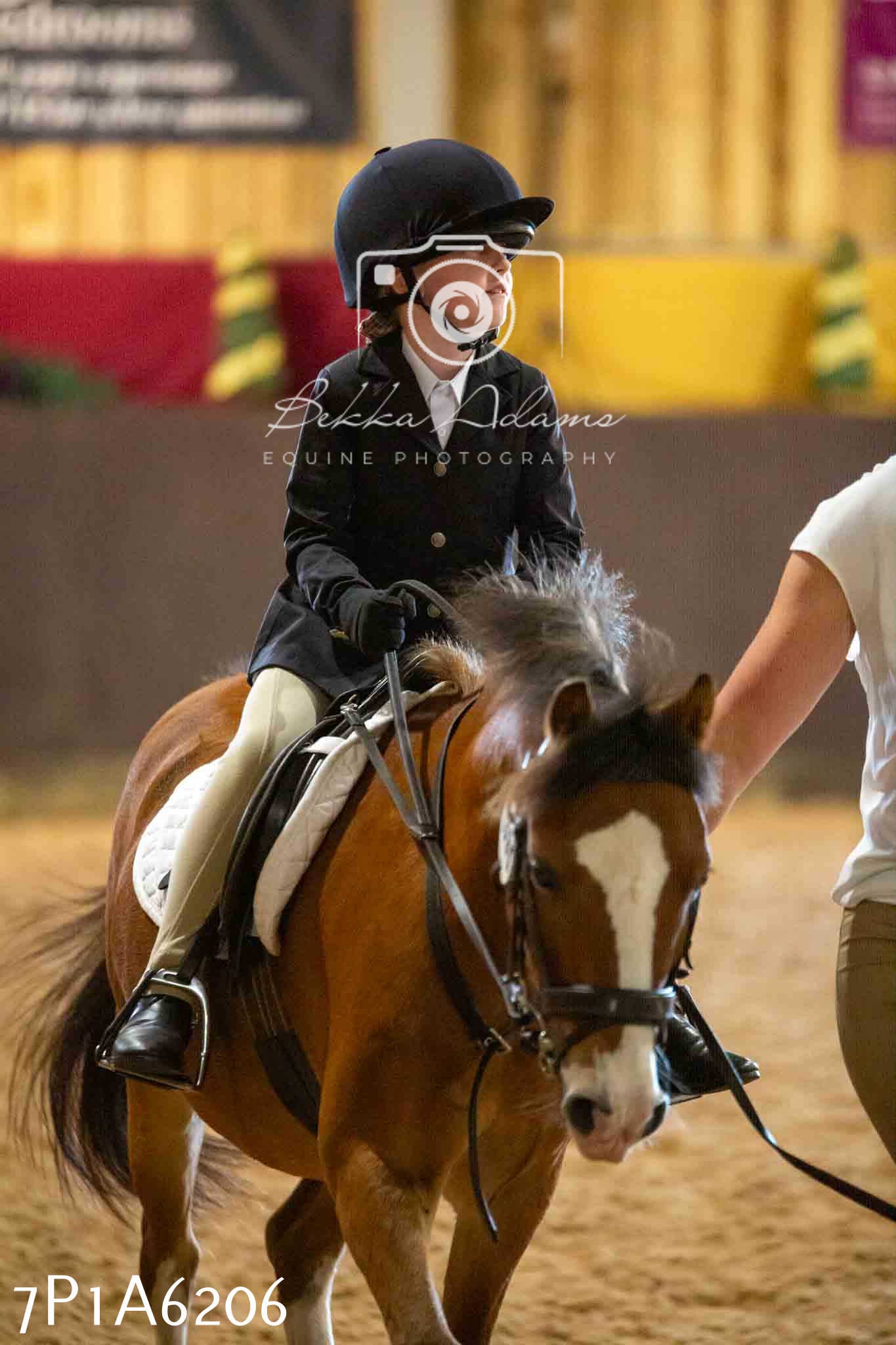JHOYS 2023 - 14th September - Show Jumping