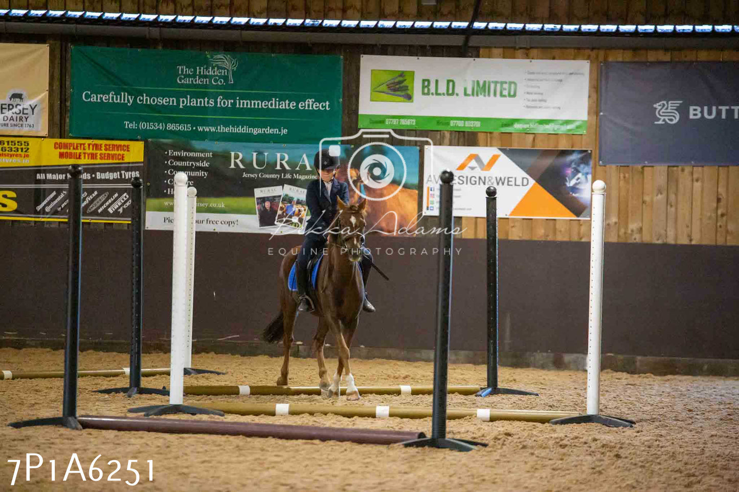 JHOYS 2023 - 14th September - Show Jumping