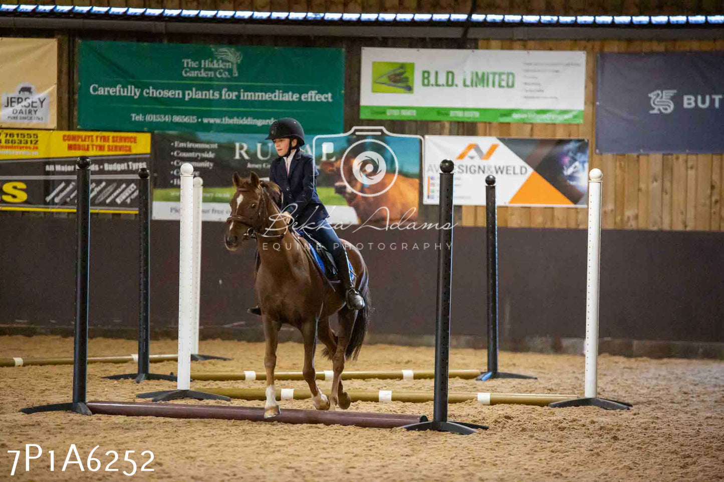 JHOYS 2023 - 14th September - Show Jumping