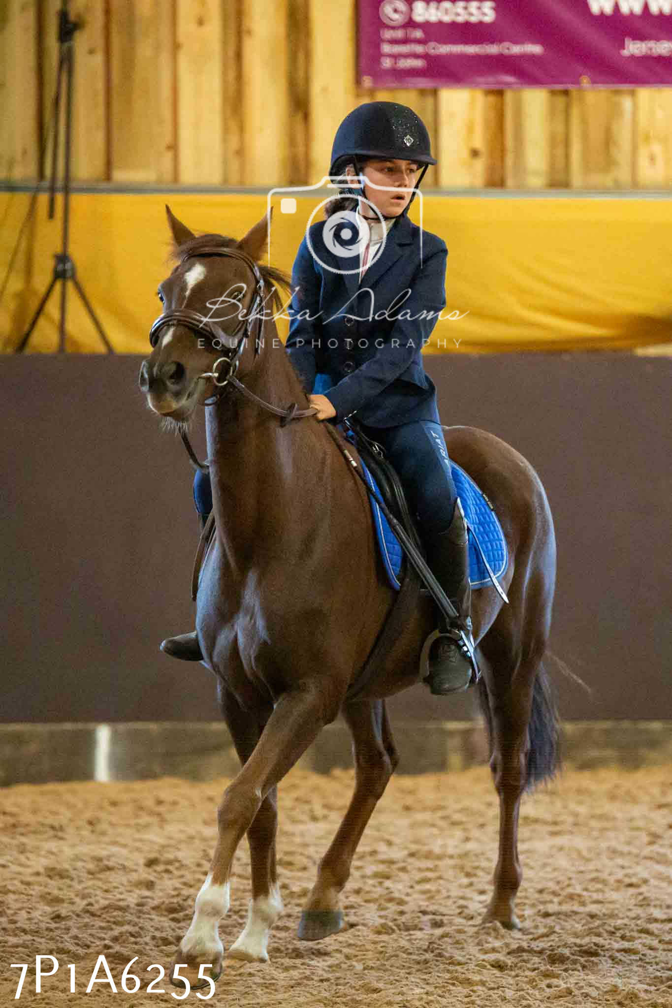 JHOYS 2023 - 14th September - Show Jumping