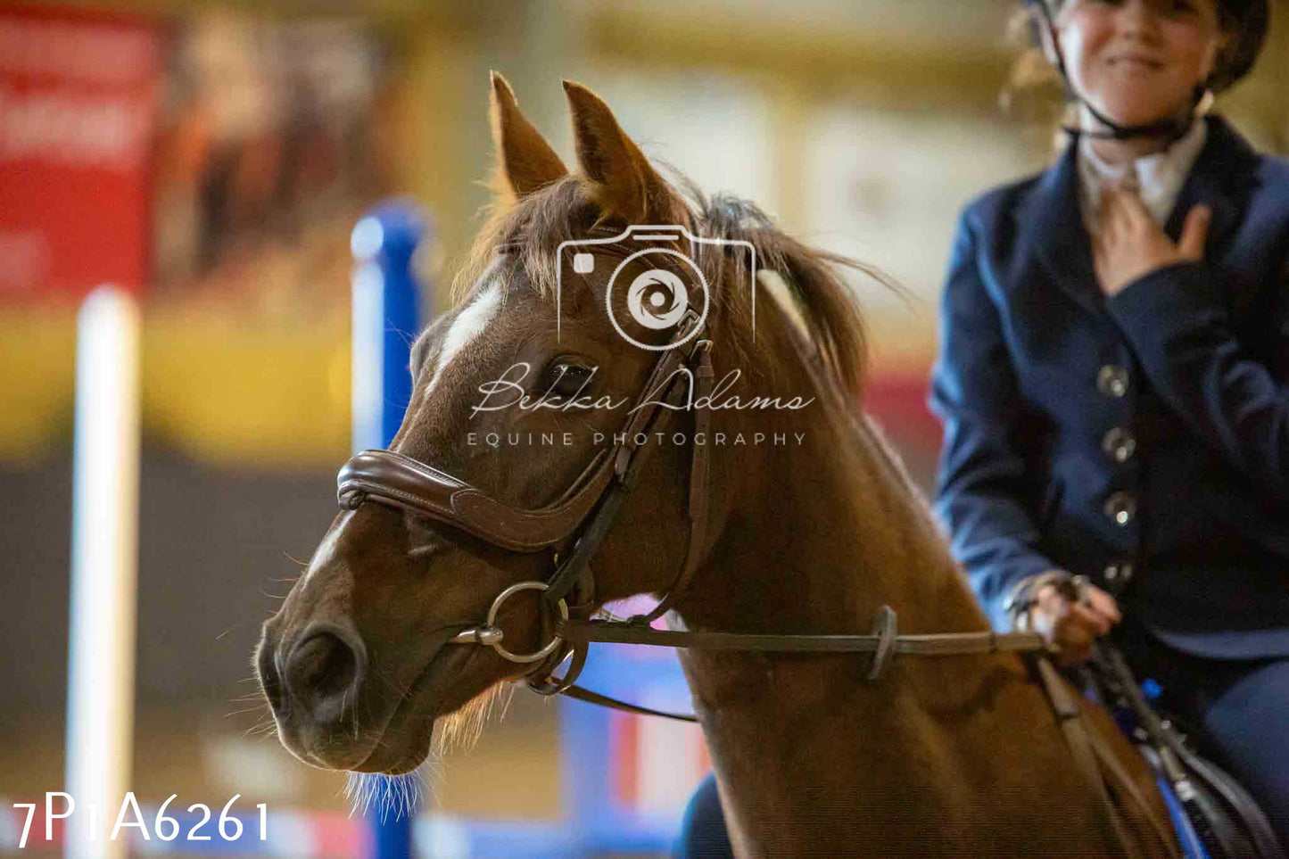 JHOYS 2023 - 14th September - Show Jumping