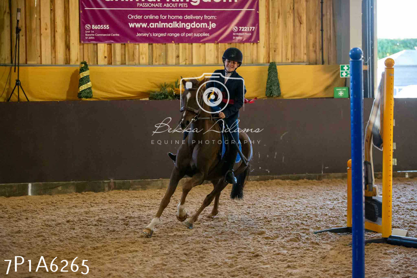 JHOYS 2023 - 14th September - Show Jumping