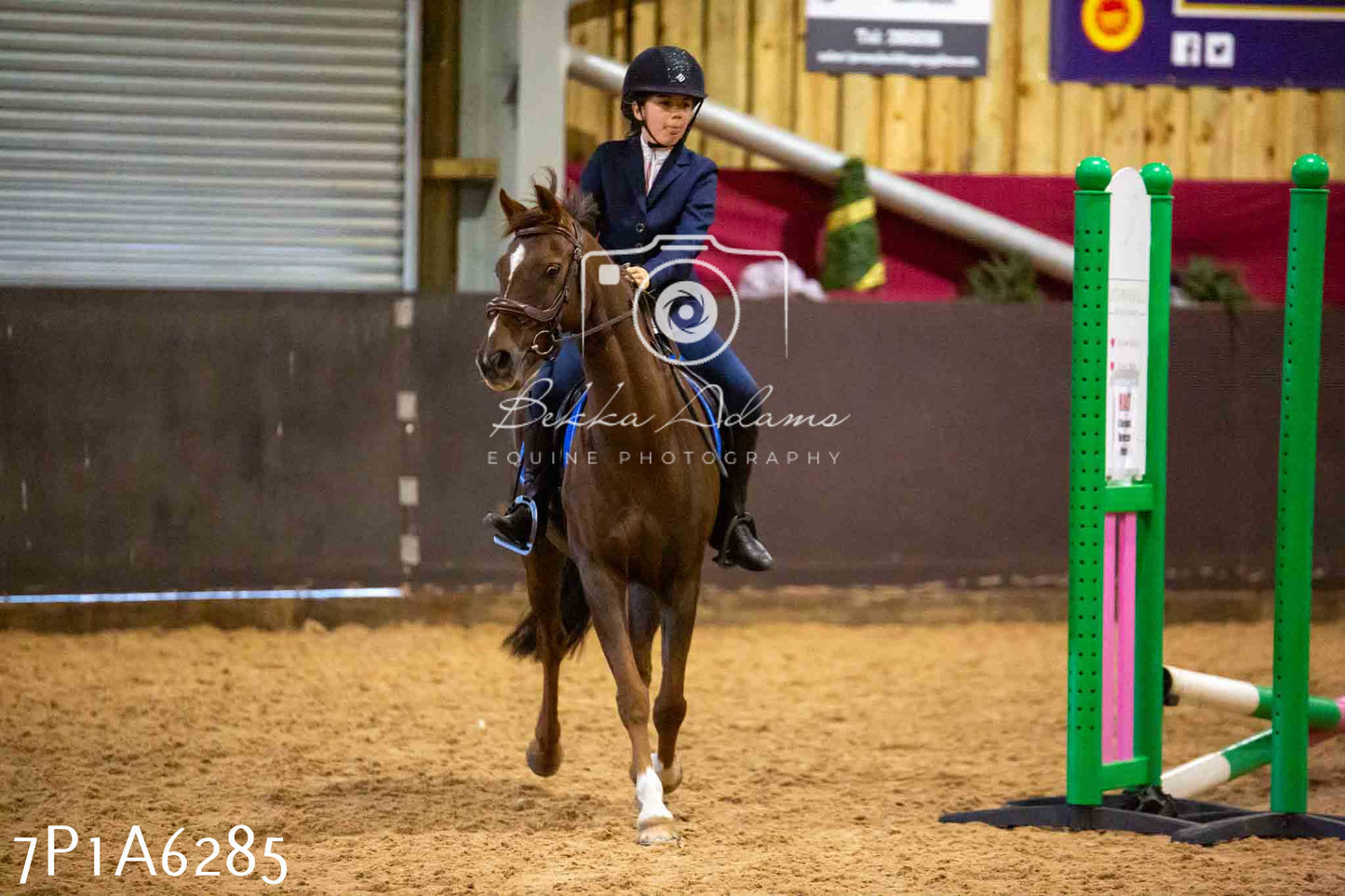 JHOYS 2023 - 14th September - Show Jumping