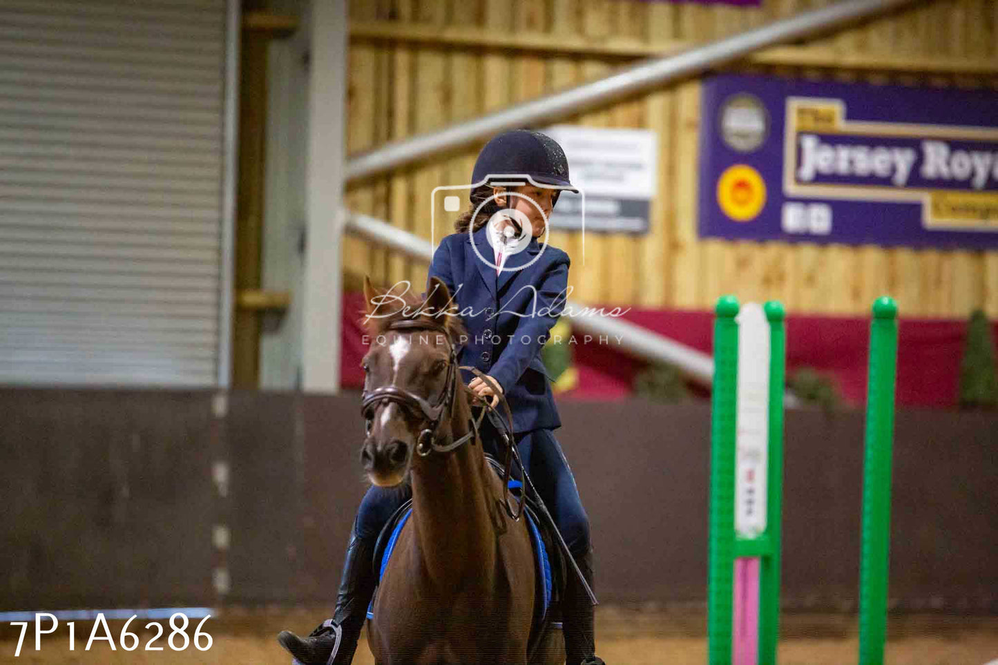 JHOYS 2023 - 14th September - Show Jumping