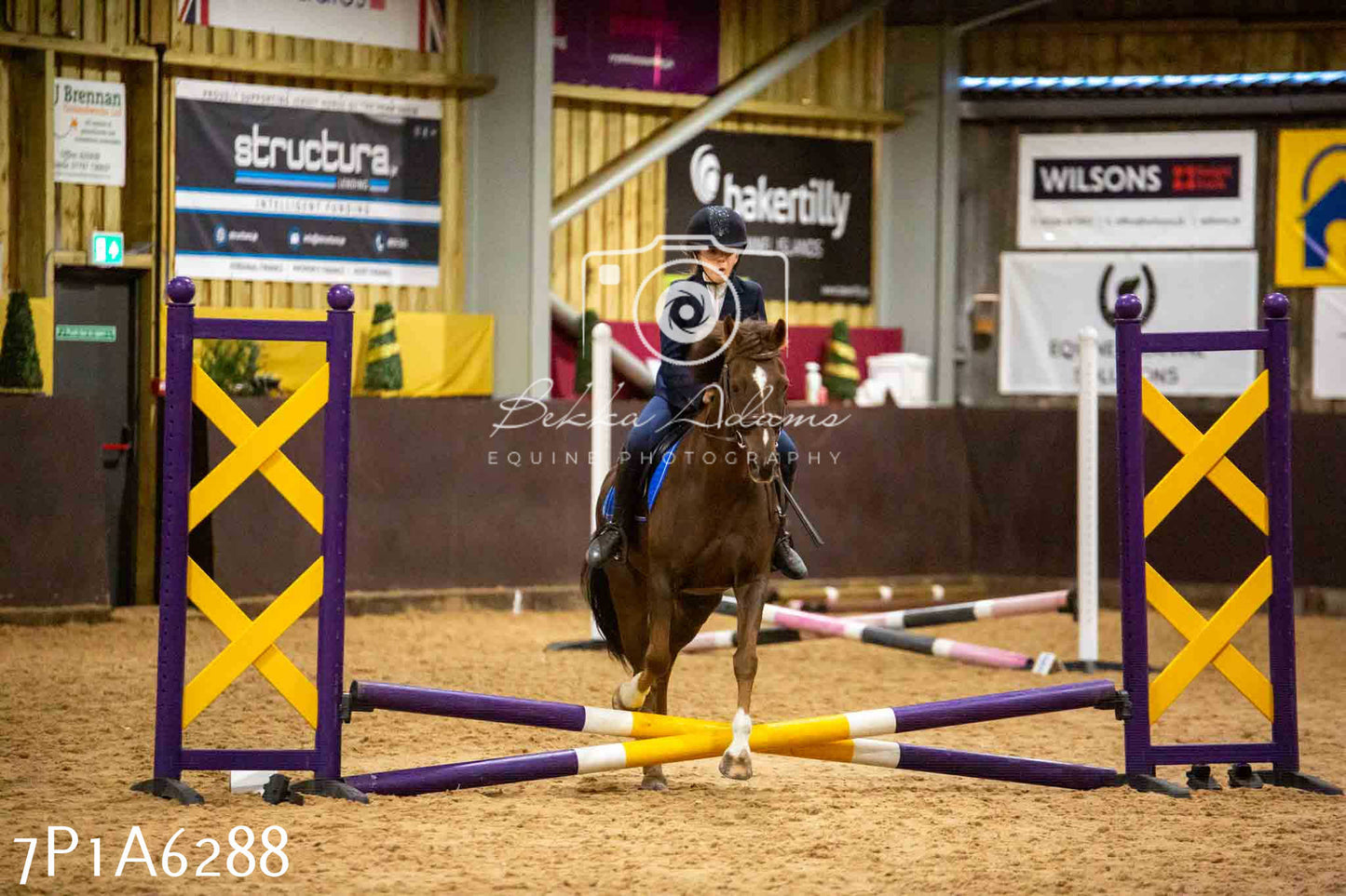 JHOYS 2023 - 14th September - Show Jumping