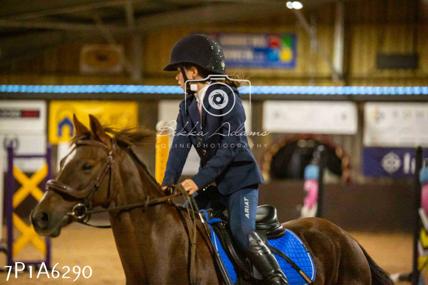 JHOYS 2023 - 14th September - Show Jumping