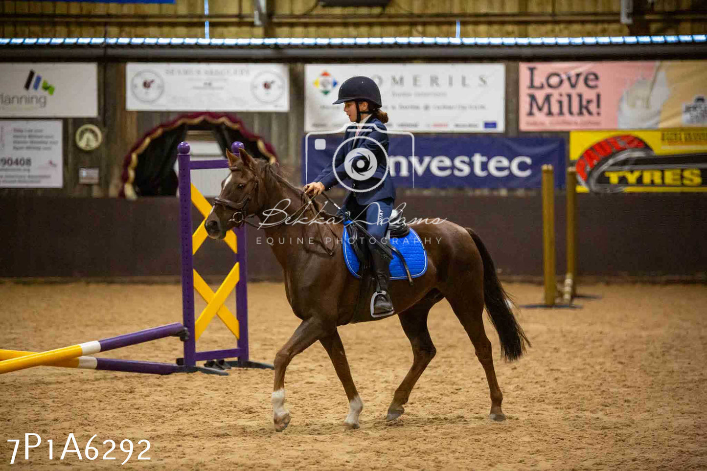 JHOYS 2023 - 14th September - Show Jumping