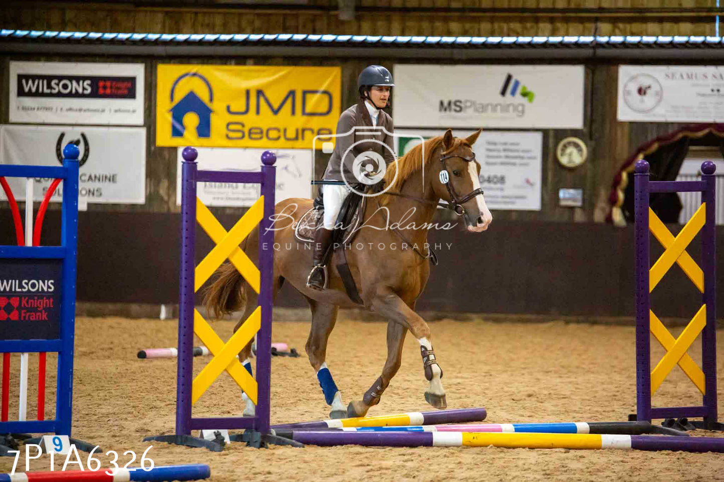 JHOYS 2023 - 14th September - Show Jumping