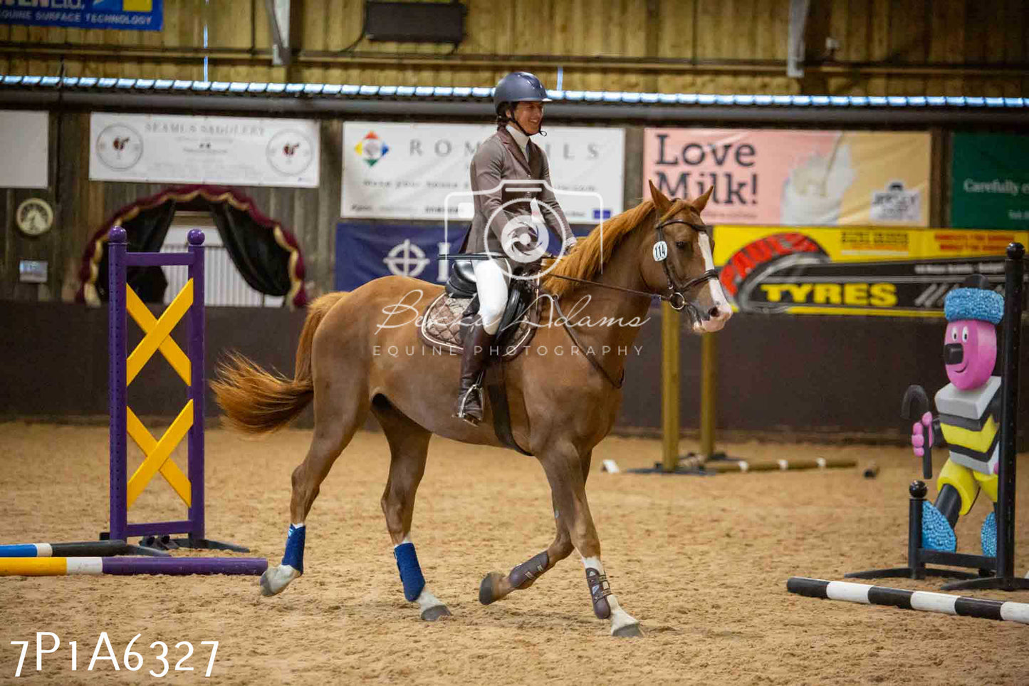 JHOYS 2023 - 14th September - Show Jumping