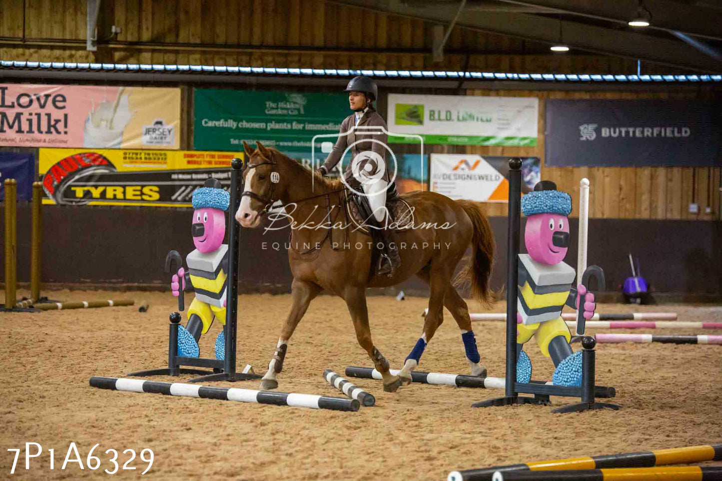 JHOYS 2023 - 14th September - Show Jumping