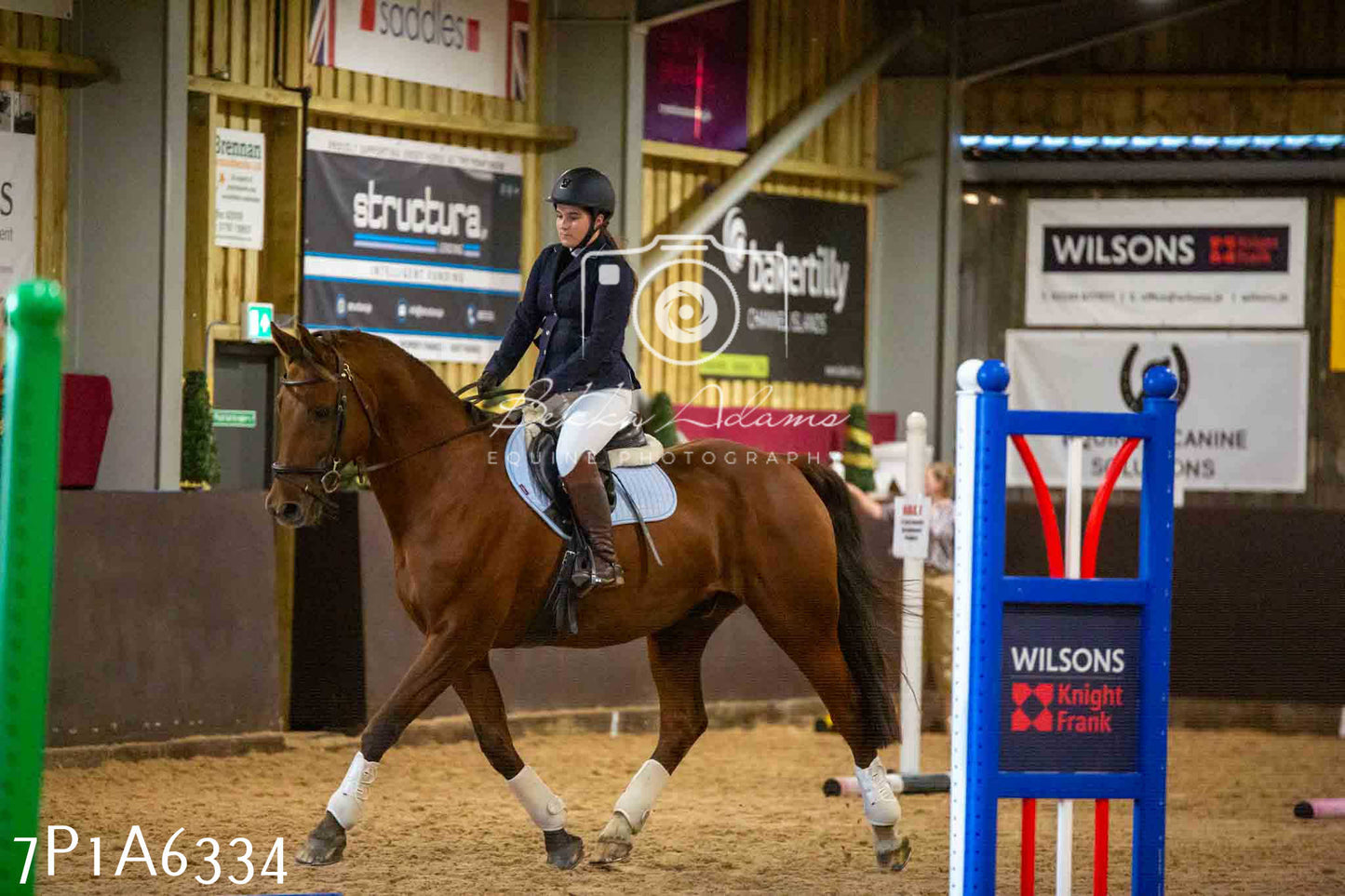 JHOYS 2023 - 14th September - Show Jumping