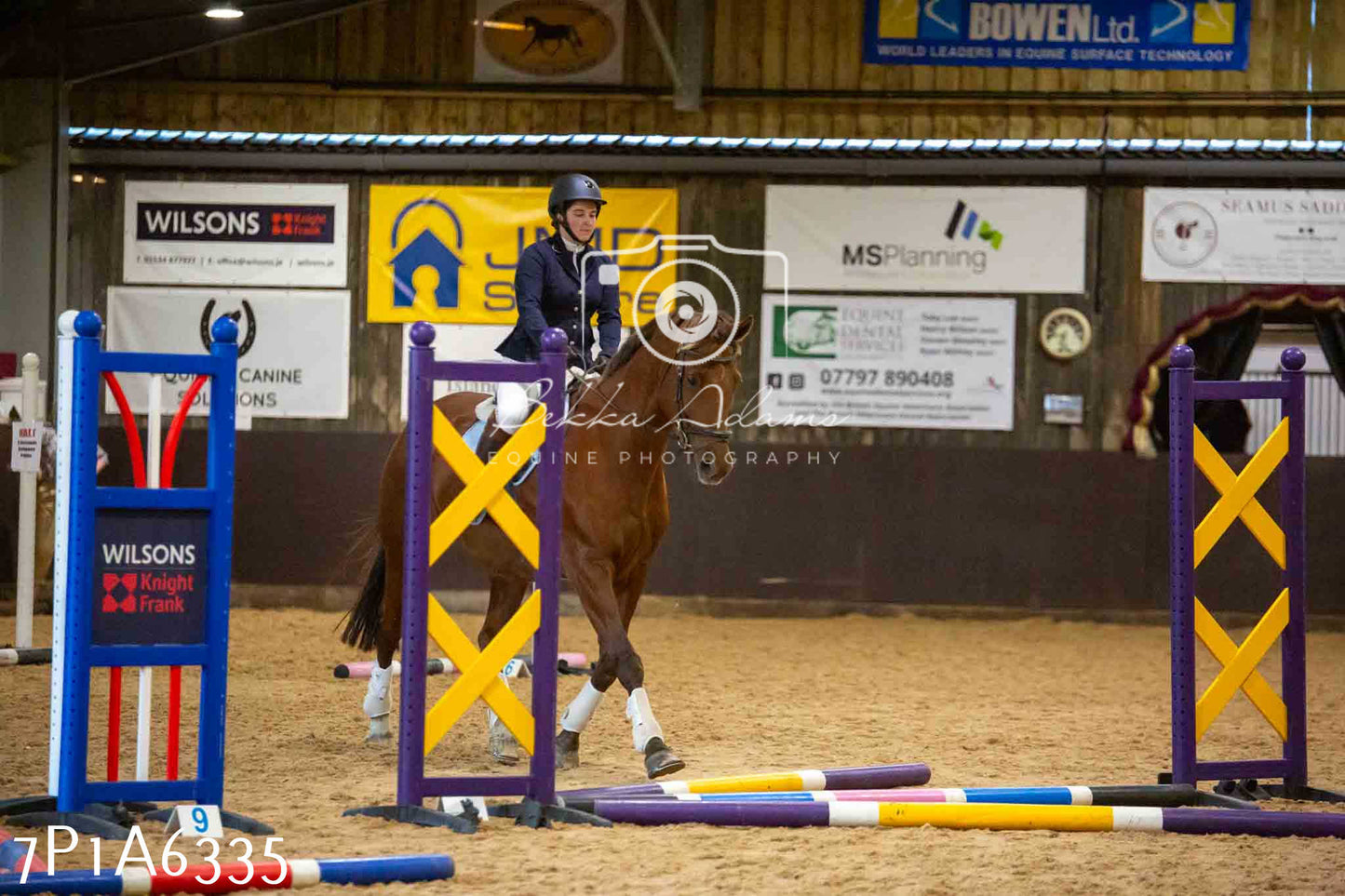 JHOYS 2023 - 14th September - Show Jumping