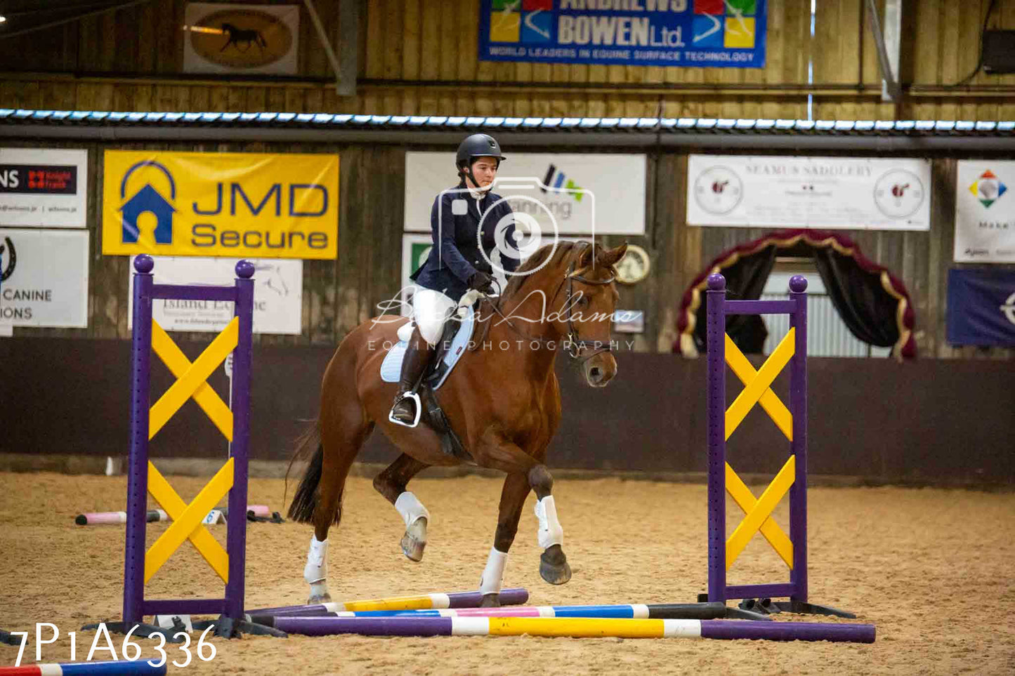 JHOYS 2023 - 14th September - Show Jumping