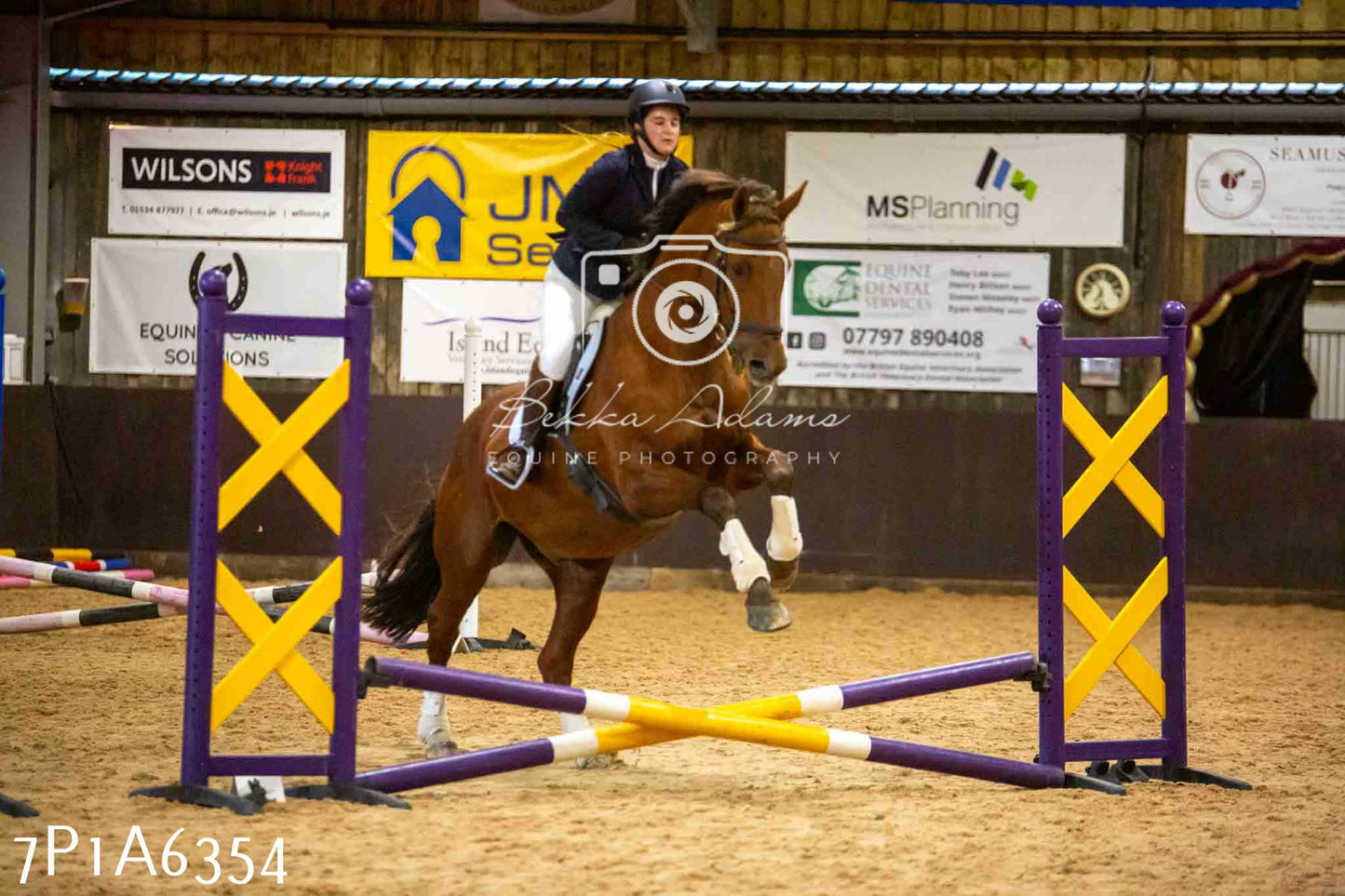 JHOYS 2023 - 14th September - Show Jumping