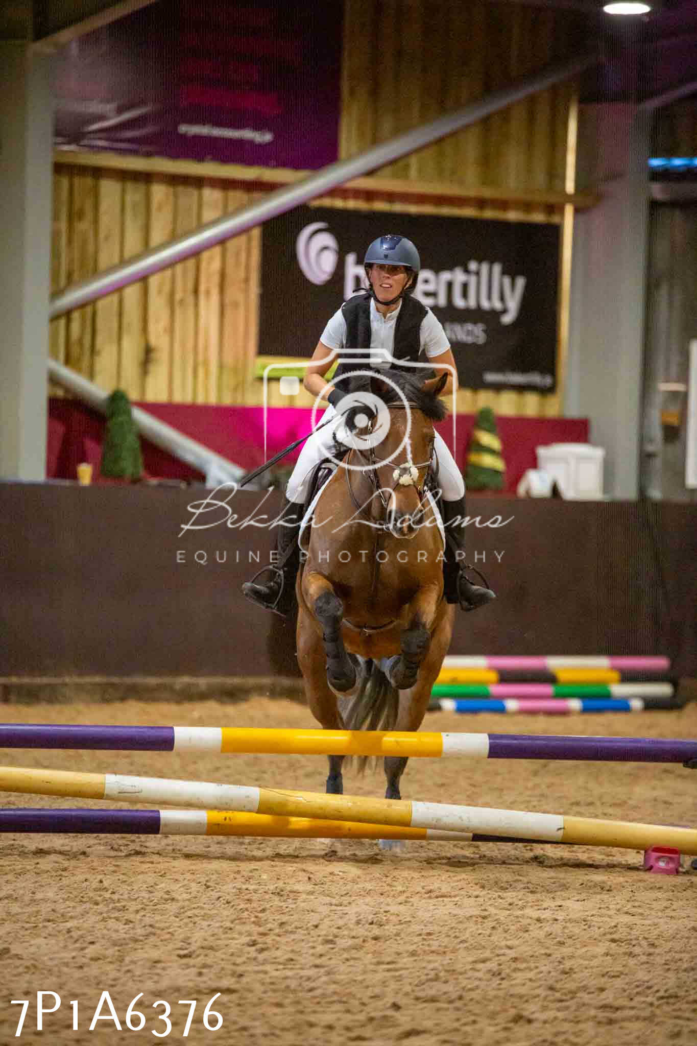 JHOYS 2023 - 15th September - Show Jumping