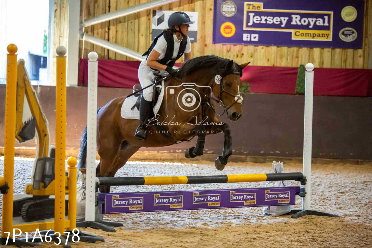 JHOYS 2023 - 15th September - Show Jumping
