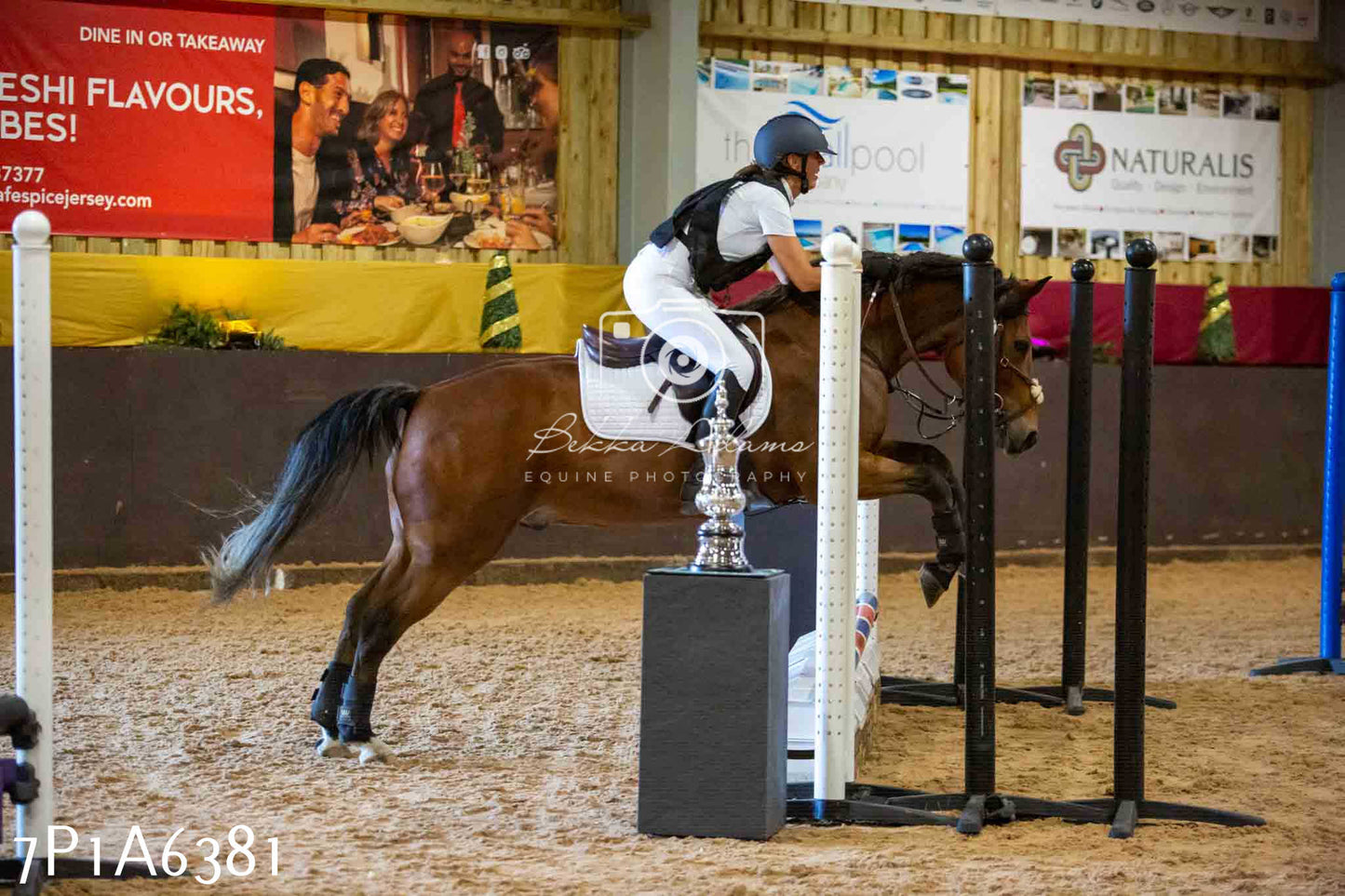 JHOYS 2023 - 15th September - Show Jumping