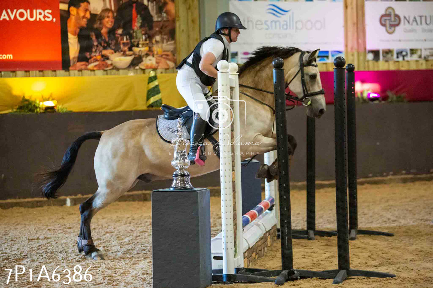 JHOYS 2023 - 15th September - Show Jumping