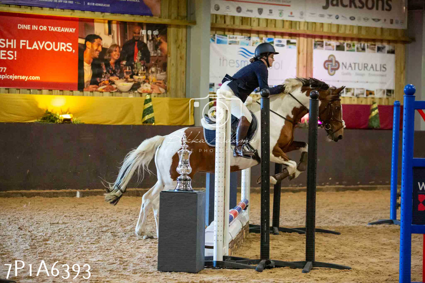 JHOYS 2023 - 15th September - Show Jumping