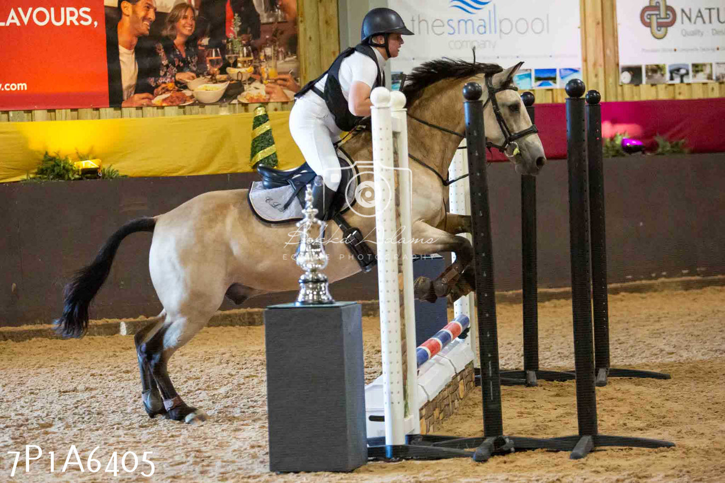 JHOYS 2023 - 15th September - Show Jumping