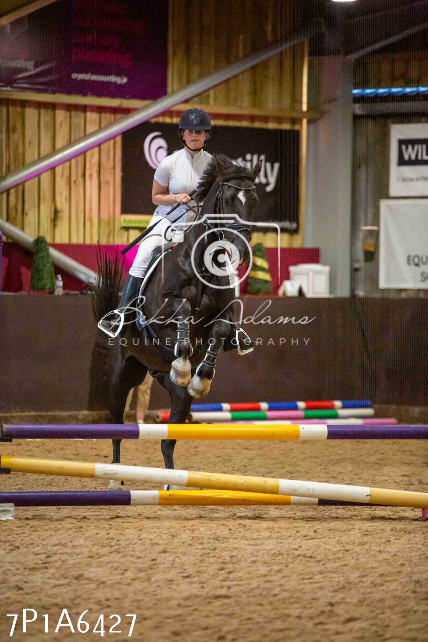 JHOYS 2023 - 15th September - Show Jumping