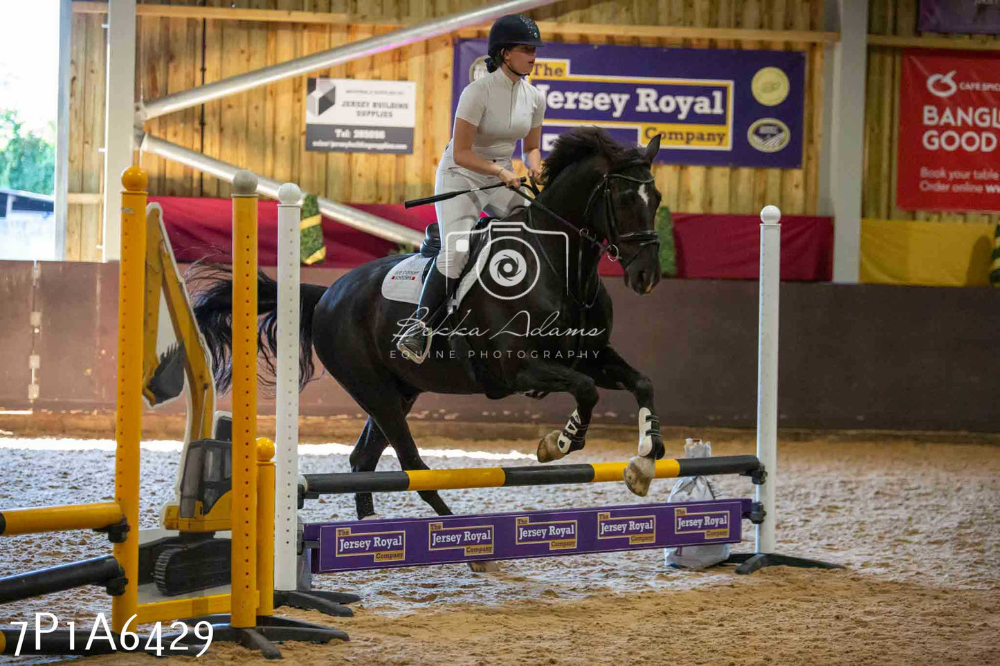 JHOYS 2023 - 15th September - Show Jumping