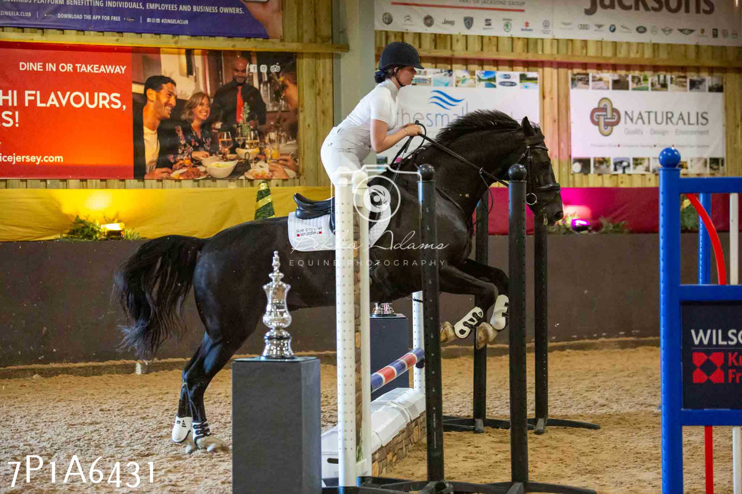 JHOYS 2023 - 15th September - Show Jumping