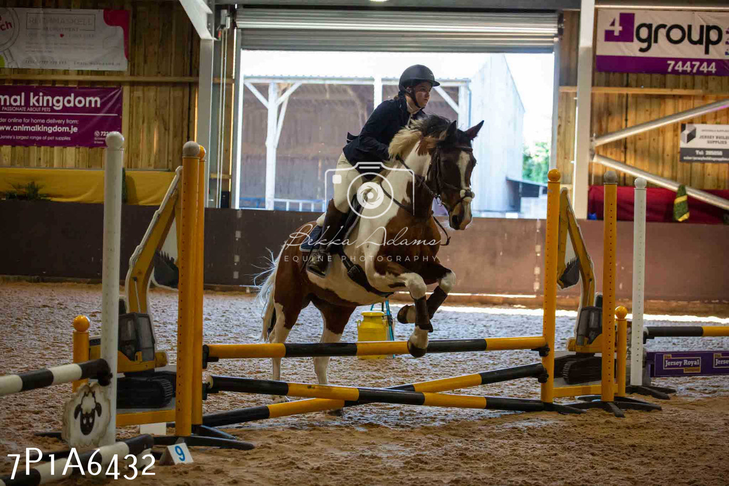 JHOYS 2023 - 15th September - Show Jumping