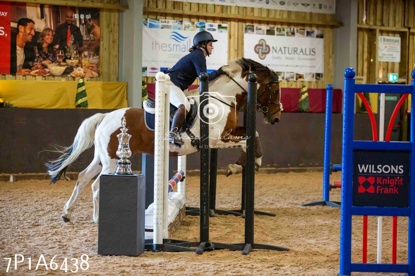 JHOYS 2023 - 15th September - Show Jumping