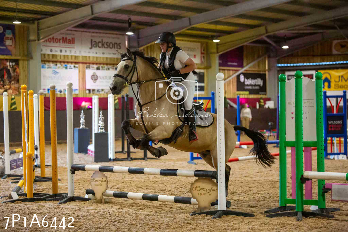 JHOYS 2023 - 15th September - Show Jumping