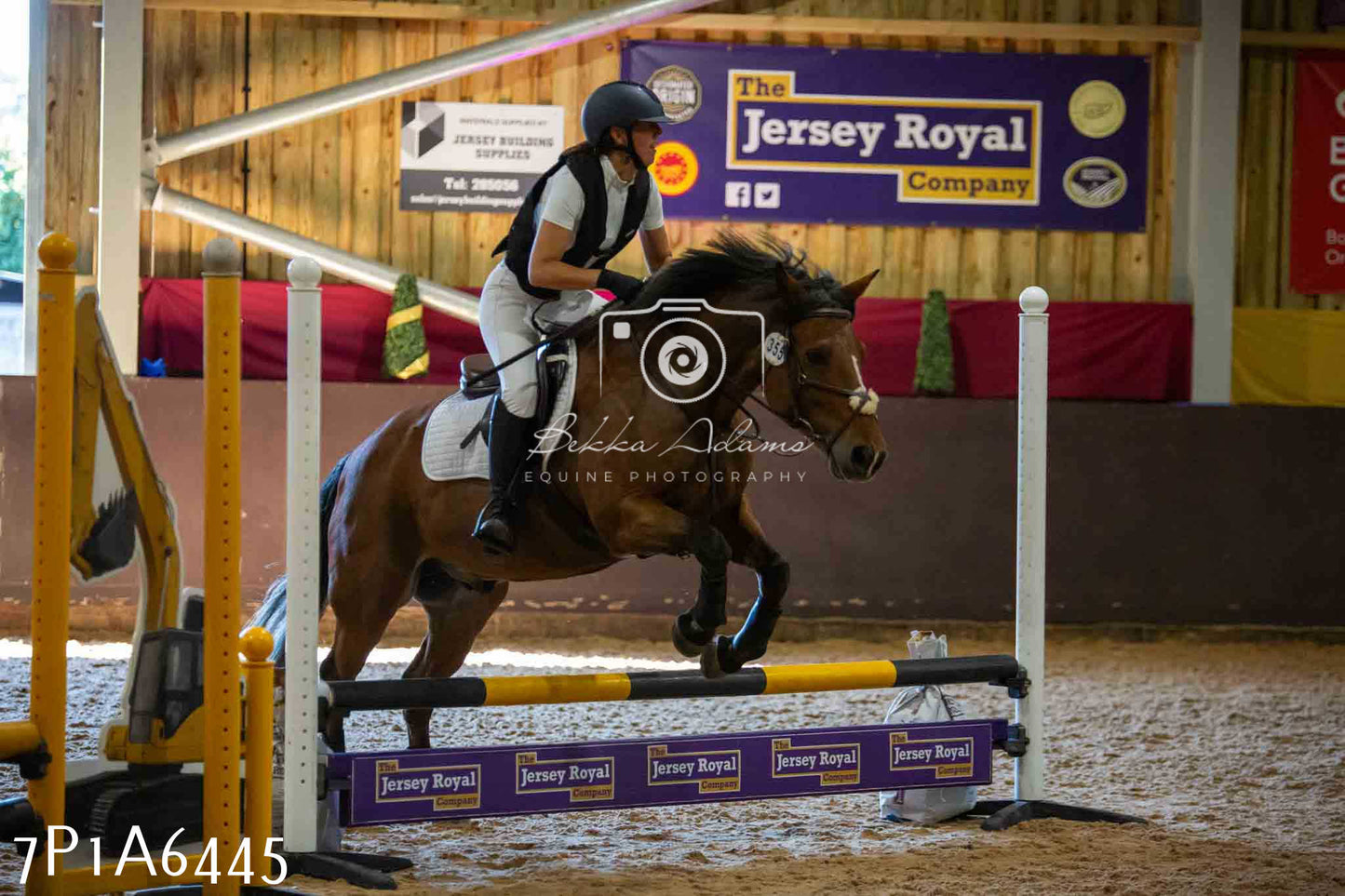 JHOYS 2023 - 15th September - Show Jumping
