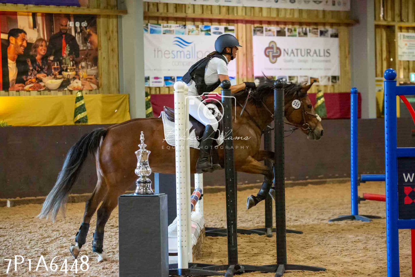 JHOYS 2023 - 15th September - Show Jumping