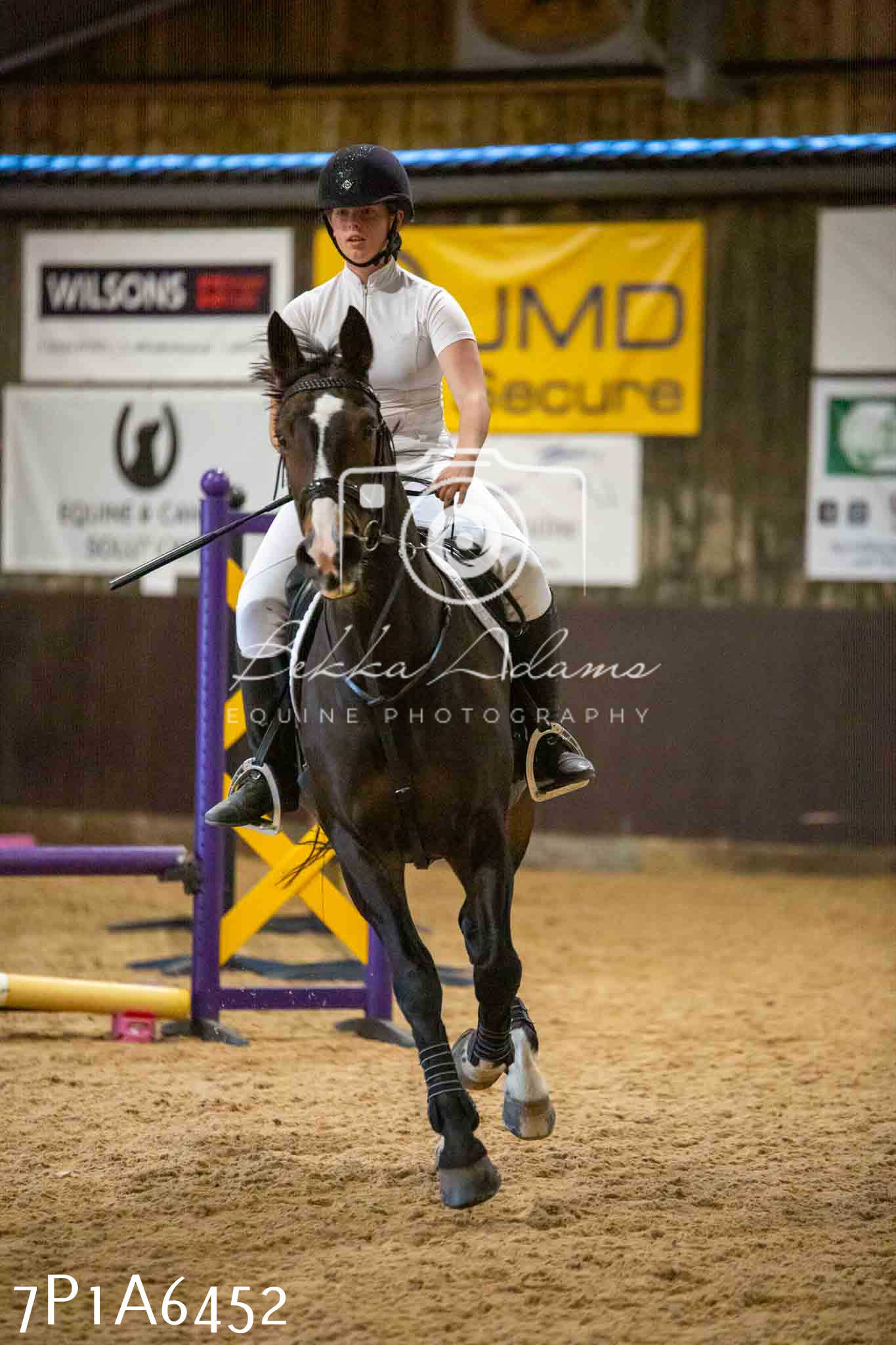 JHOYS 2023 - 15th September - Show Jumping