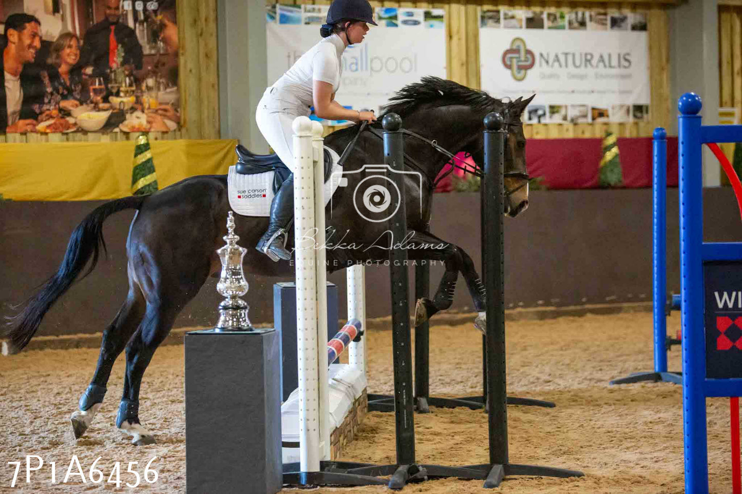 JHOYS 2023 - 15th September - Show Jumping