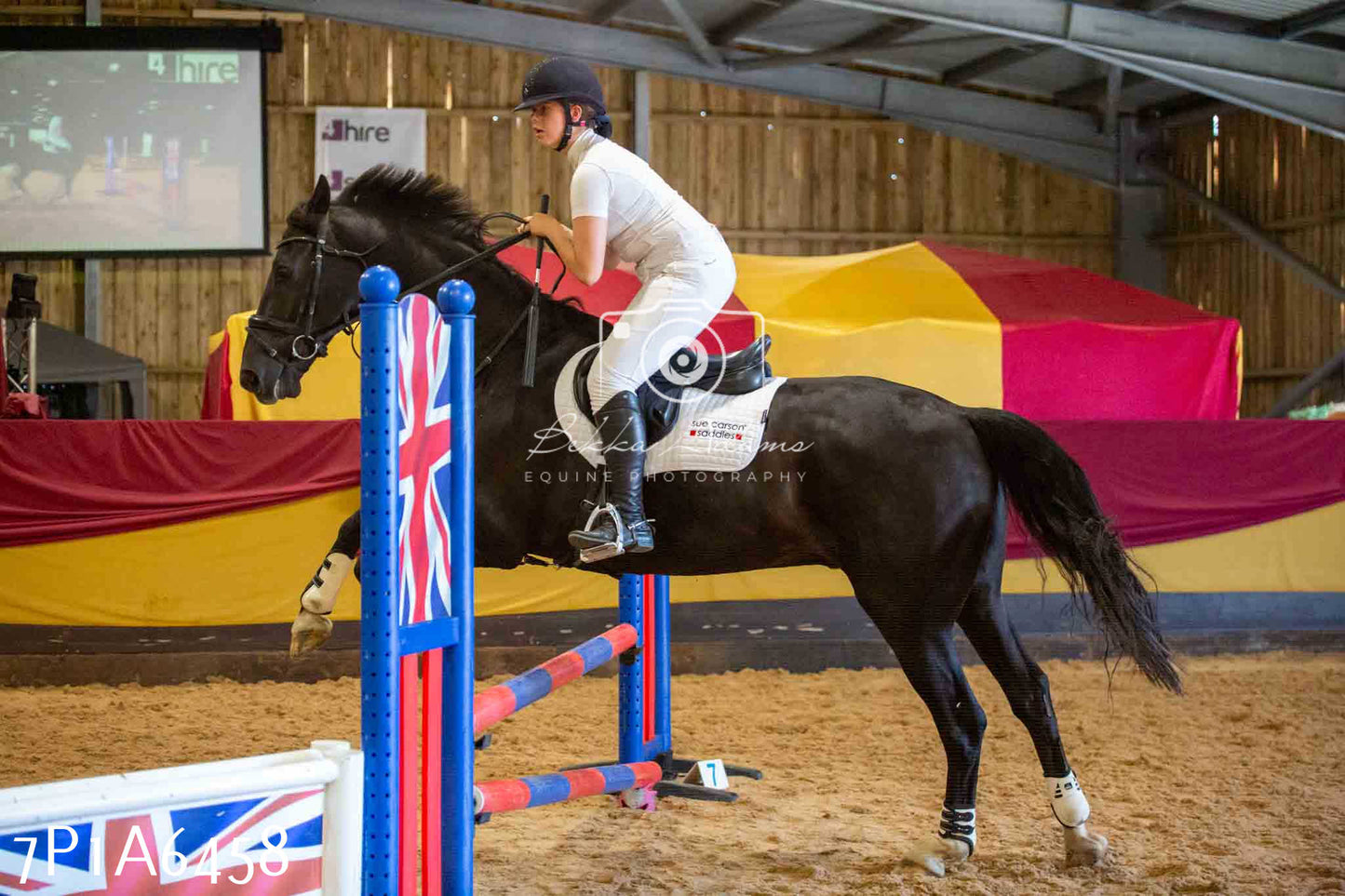 JHOYS 2023 - 15th September - Show Jumping