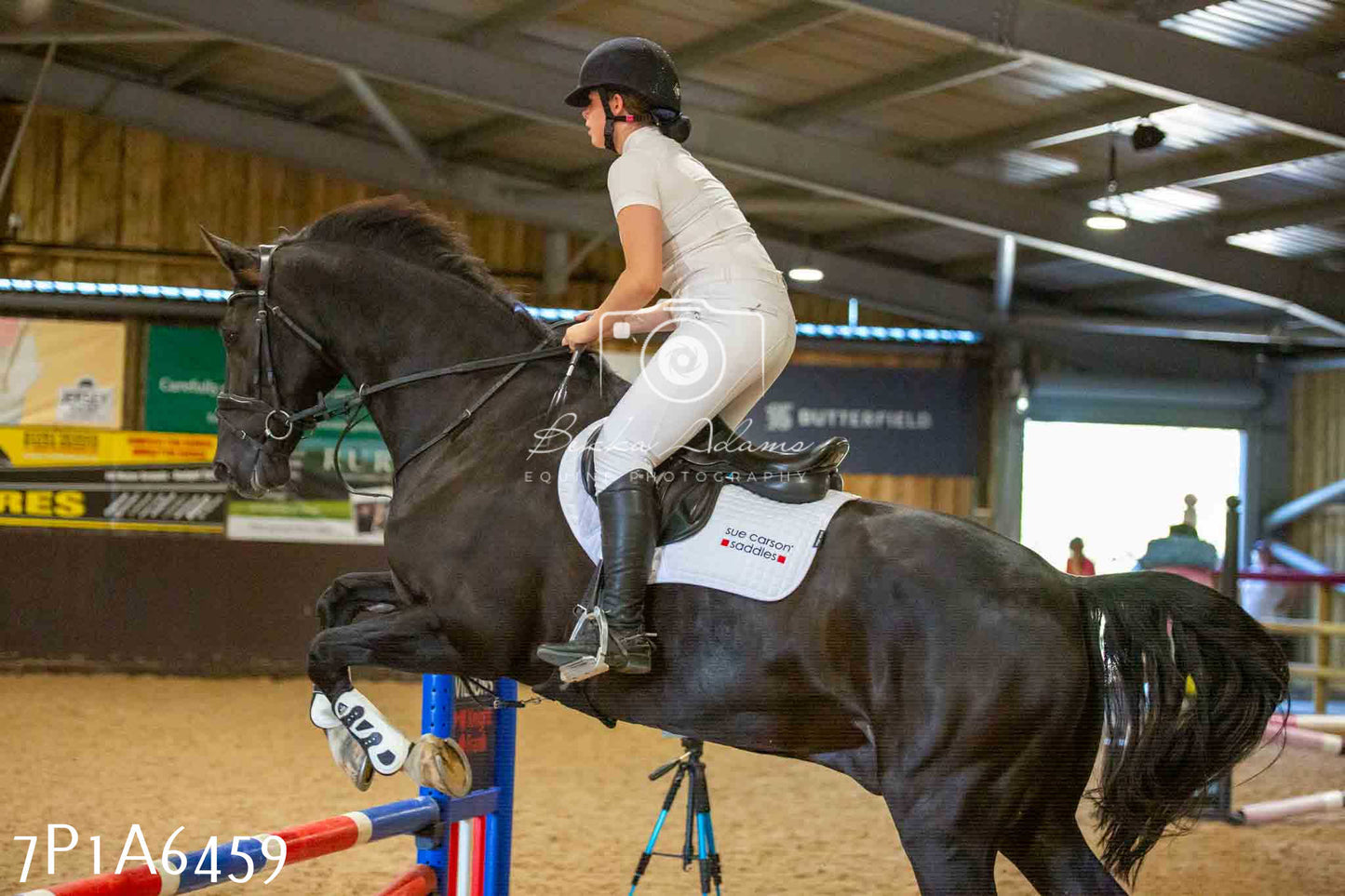 JHOYS 2023 - 15th September - Show Jumping