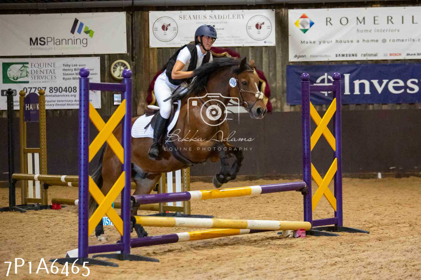 JHOYS 2023 - 15th September - Show Jumping