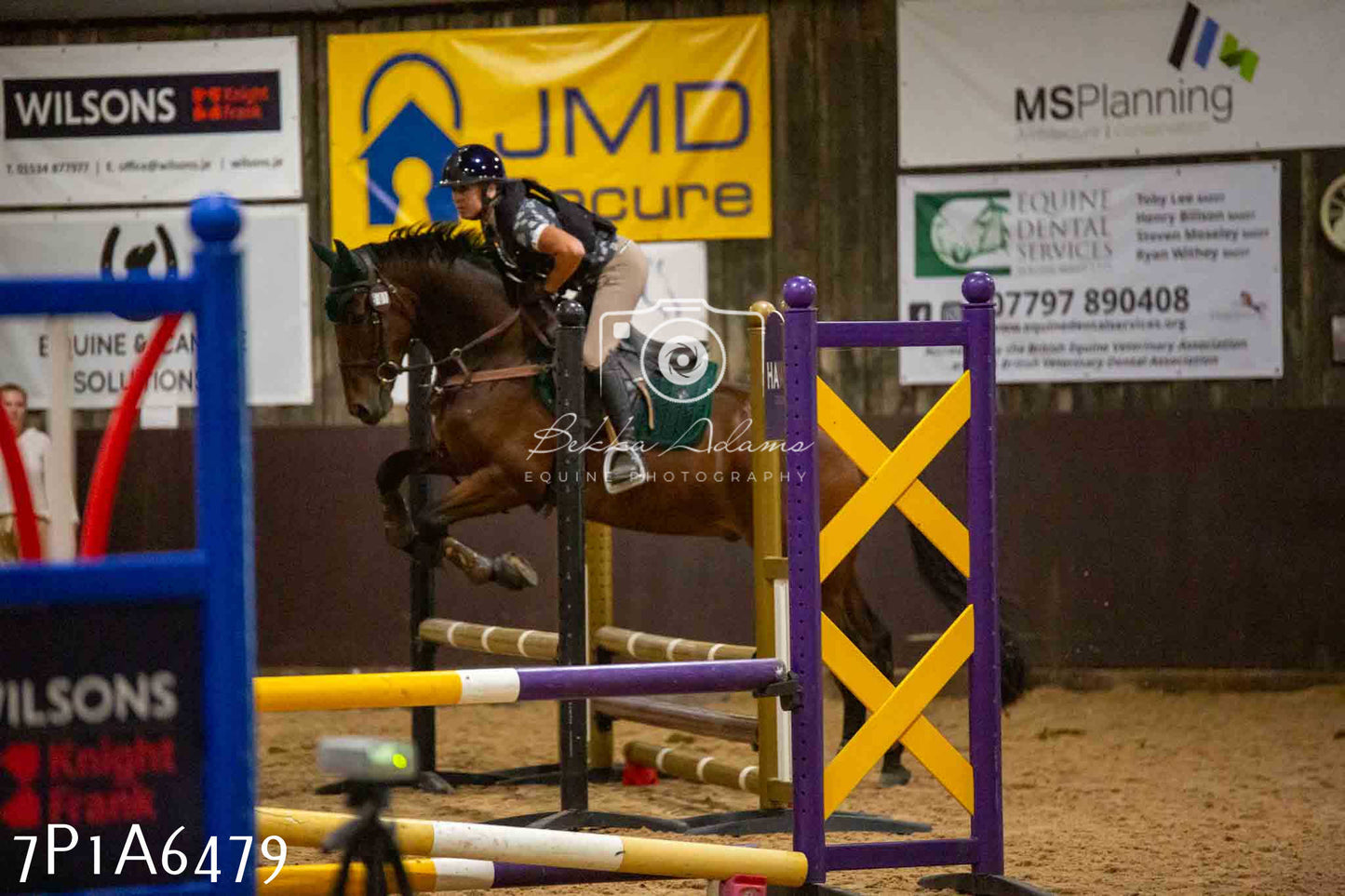 JHOYS 2023 - 15th September - Show Jumping