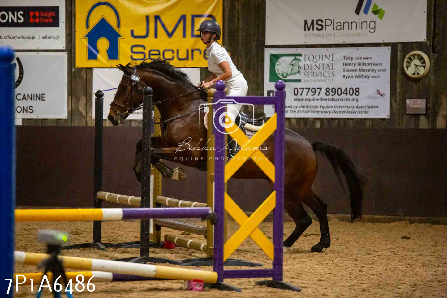 JHOYS 2023 - 15th September - Show Jumping