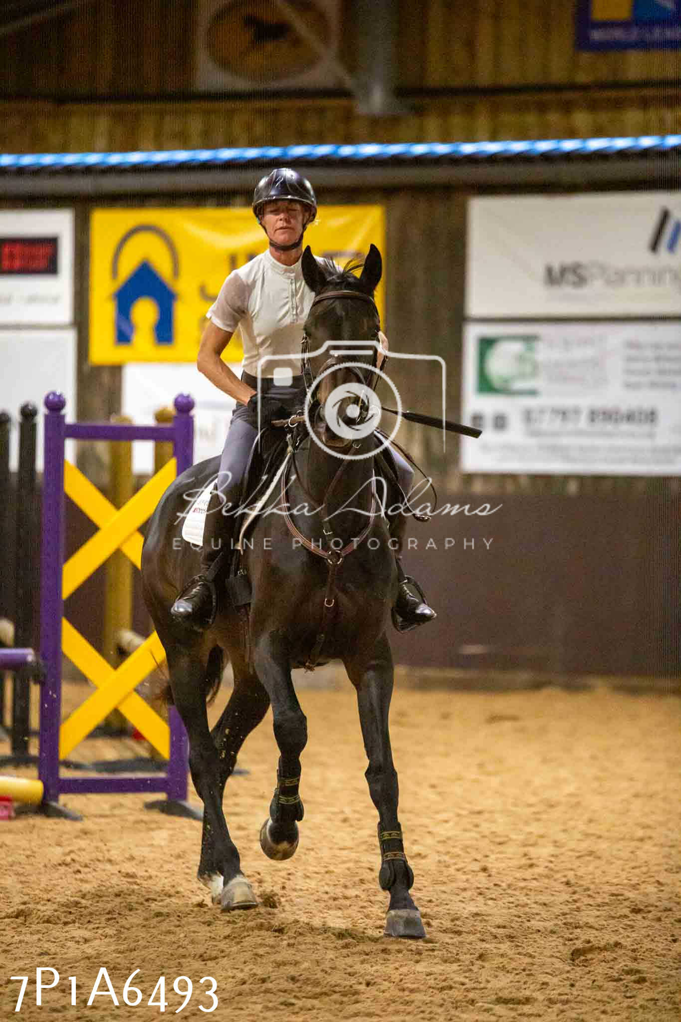 JHOYS 2023 - 15th September - Show Jumping