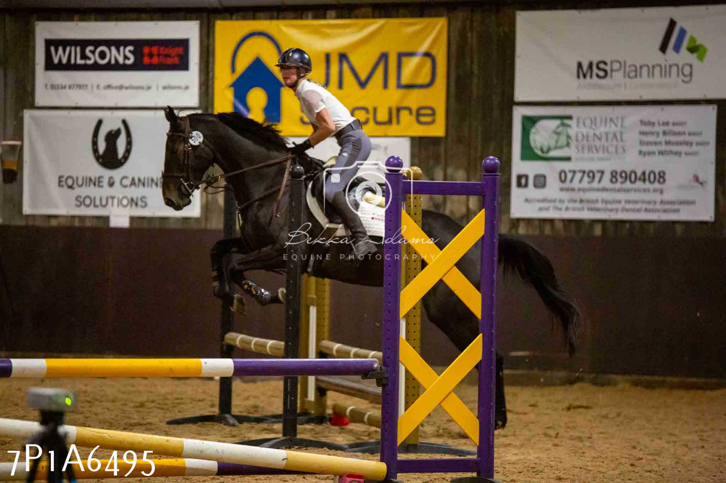 JHOYS 2023 - 15th September - Show Jumping