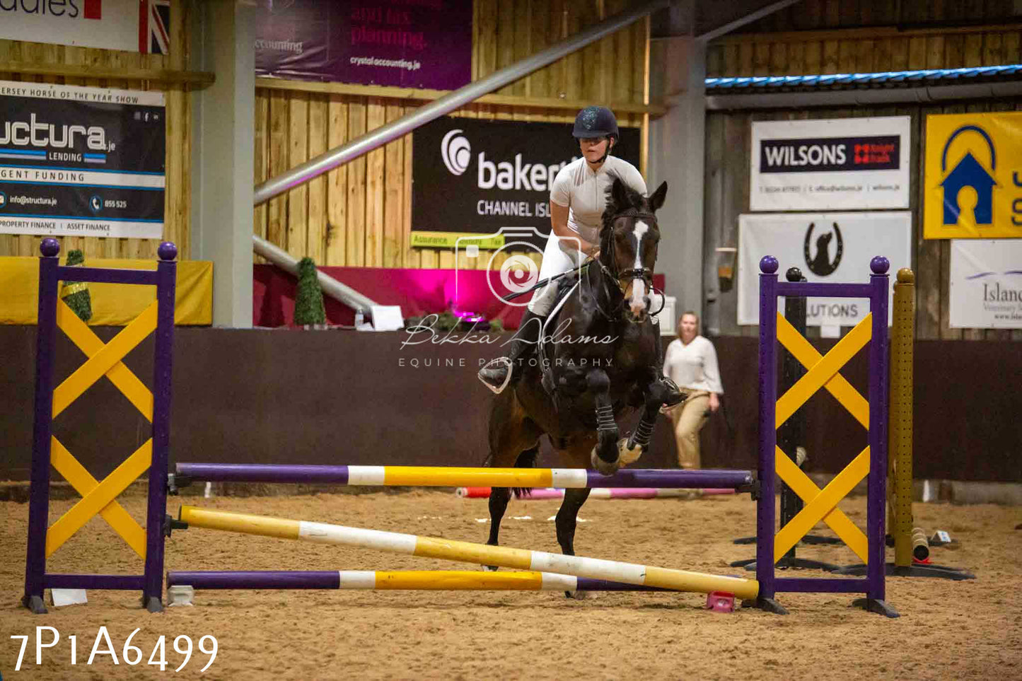 JHOYS 2023 - 15th September - Show Jumping