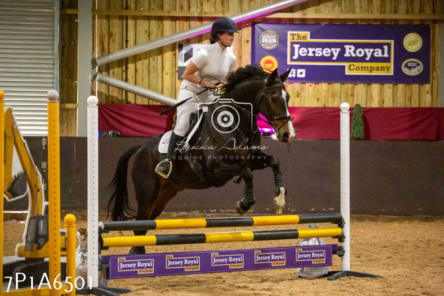 JHOYS 2023 - 15th September - Show Jumping