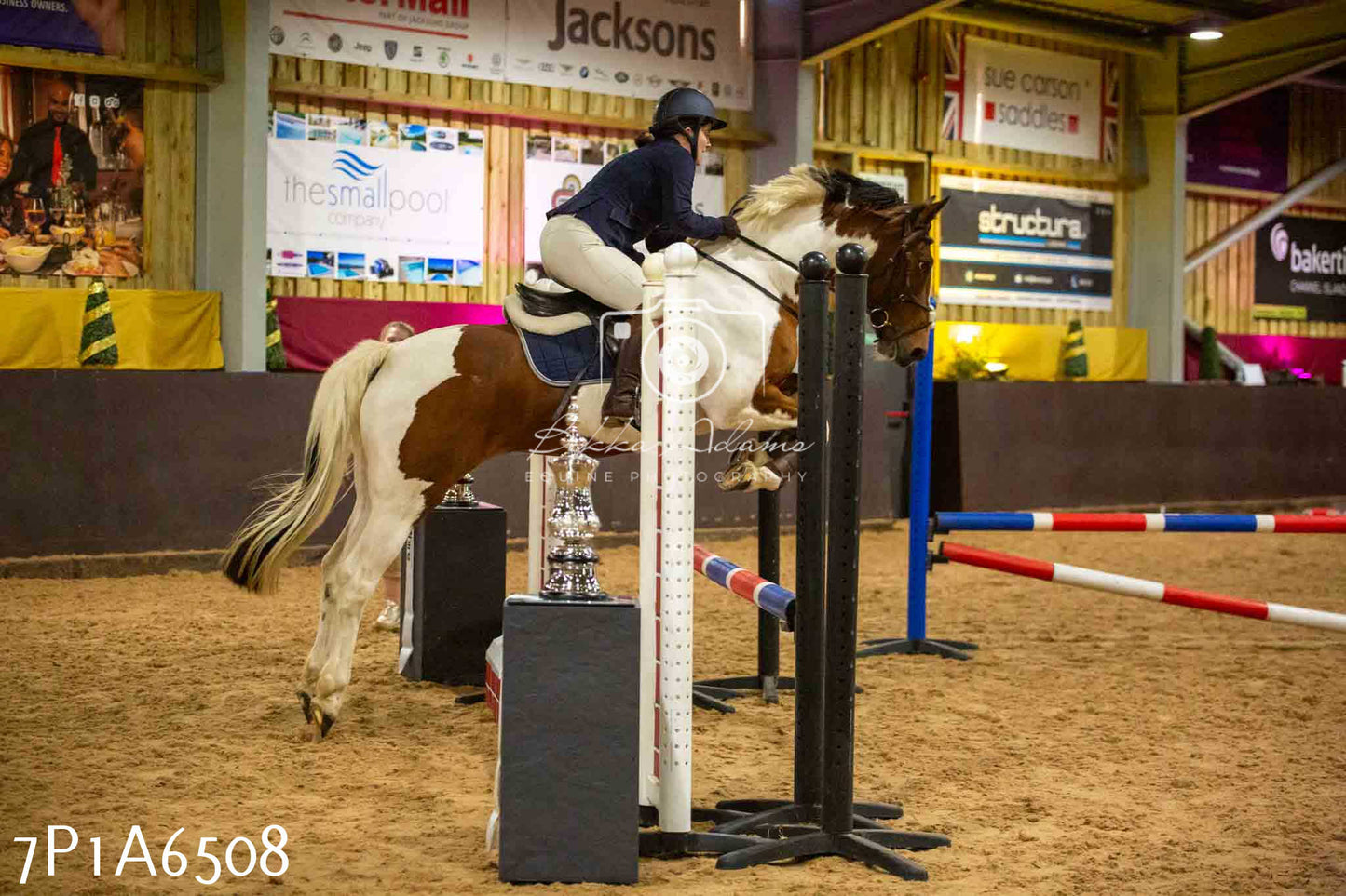 JHOYS 2023 - 15th September - Show Jumping